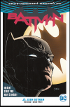 Batman: Já jsem Gotham: Znovuzrození hrdinů DC