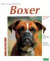Boxer: porozumění a správná péče