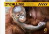 Ztichlá zoo: Co jste kvůli pandemii neviděli