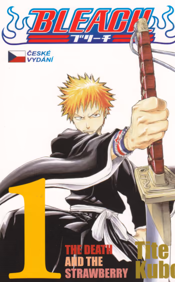 Bleach 01 - The Death and the Strawberry