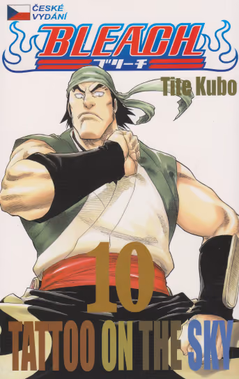 Bleach 10: Tattoo on the Sky