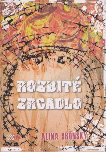 Rozbité zrcadlo