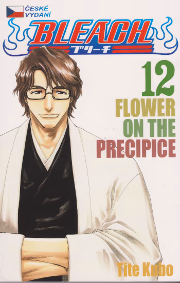 Bleach 12 - Flower on the Precipice
