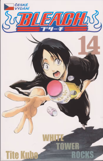 Bleach 14 - White Tower Rocks