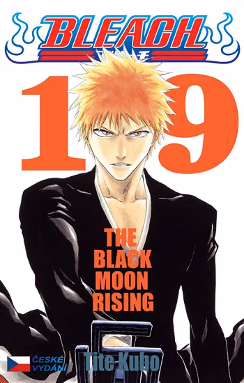Bleach 19 - the Black Moon Riding
