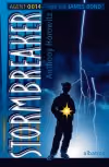 Stormbreaker