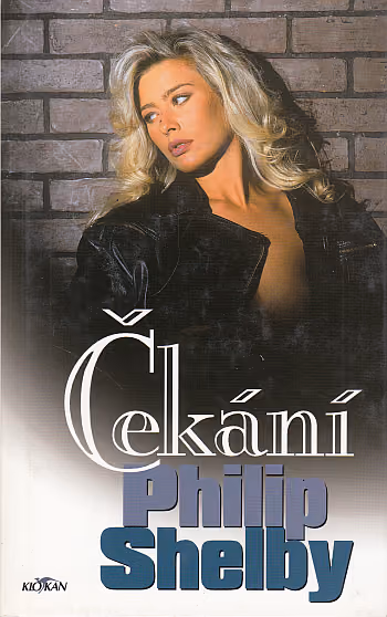 Čekání