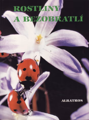 Rostliny a bezobratlí