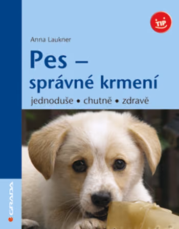 Pes - správné krmení