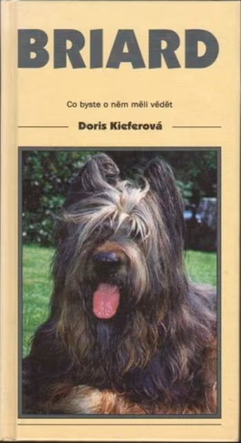 Briard
