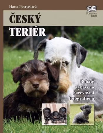 Český teriér
