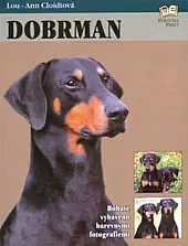Dobrman