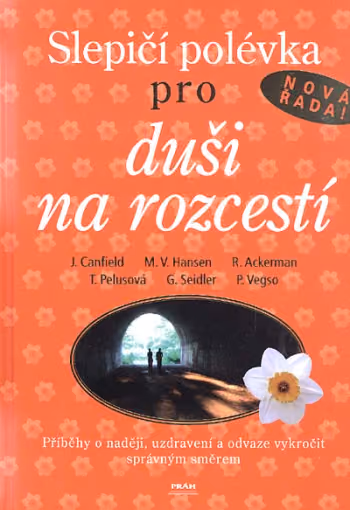 Slepičí polévka pro duši na rozcestí