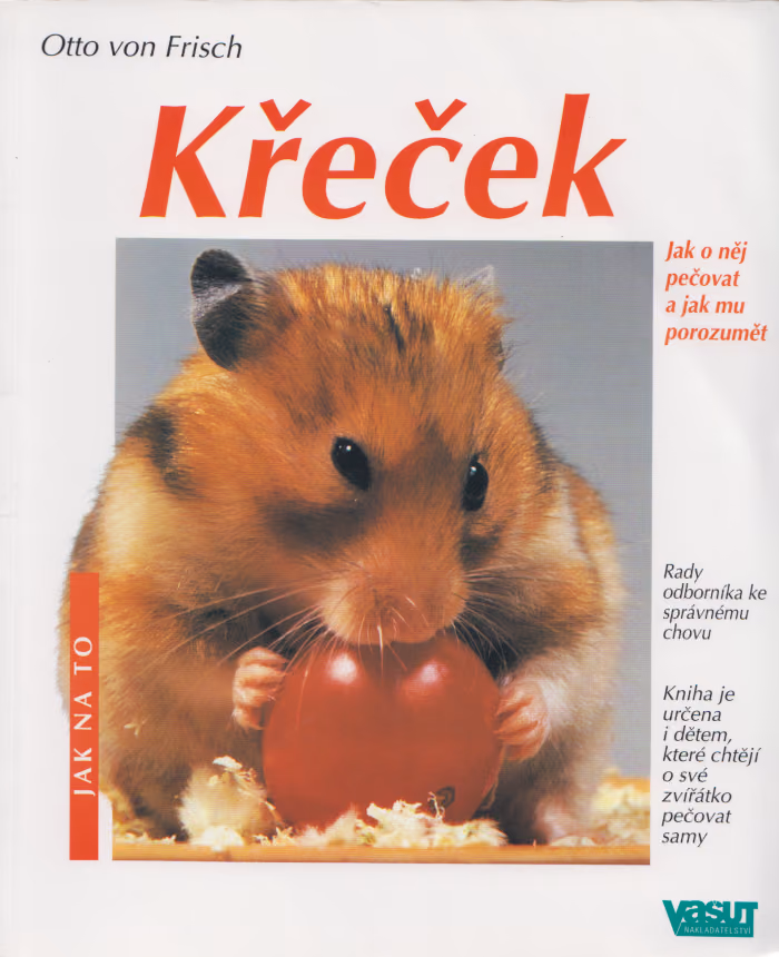 Křeček