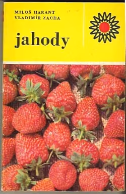 Jahody
