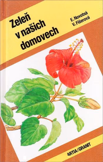 Zeleň v našich domovech