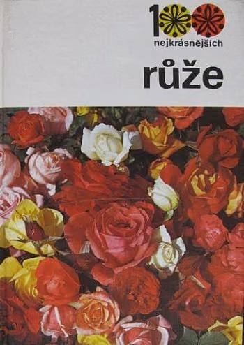 Růže