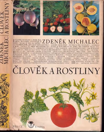Člověk a rostliny