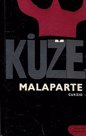 Kůže