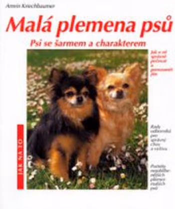 Malá plemena psů: psi se šarmem a charakterem