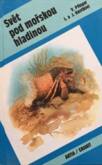 Svět pod mořskou hladinou