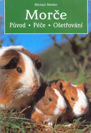 Morče