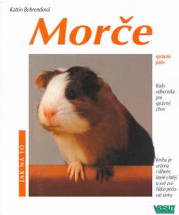 Morče