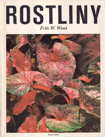 Rostliny