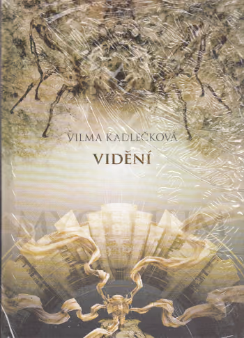 Vidění