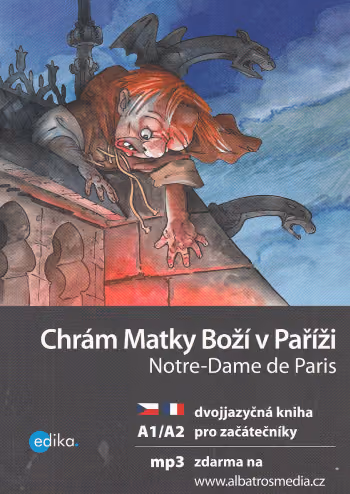 Chrám Matky Boží v Paříži / Notre-Dame de Paris