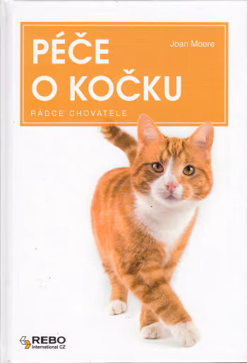 Péče o kočku
