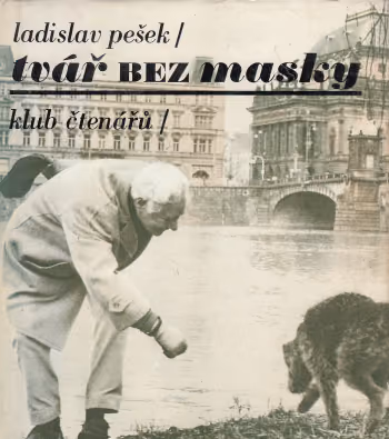 Tvář bez masky