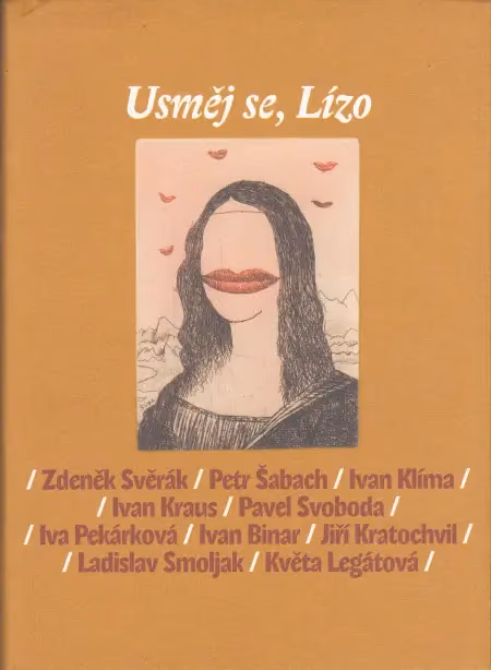 Usměj se, Lízo