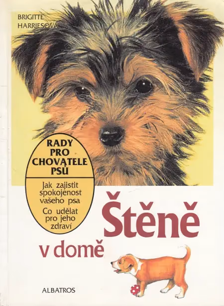 Štěně v domě