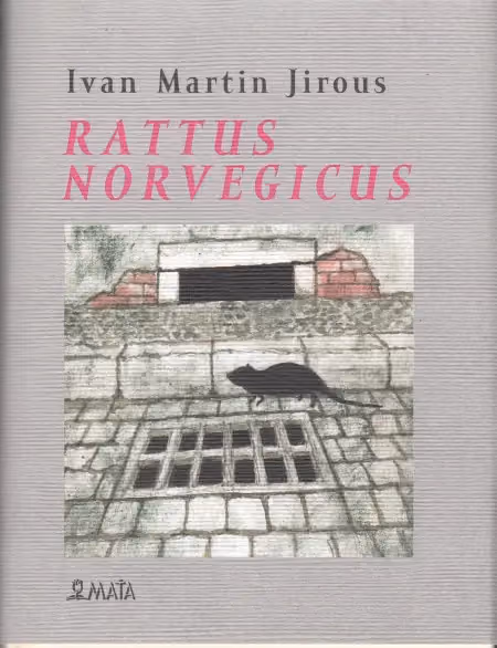 Rattus norvegicus