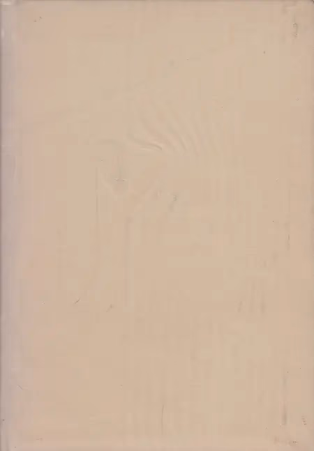 Splav