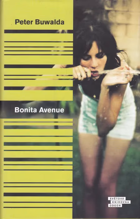 Bonita Avenue