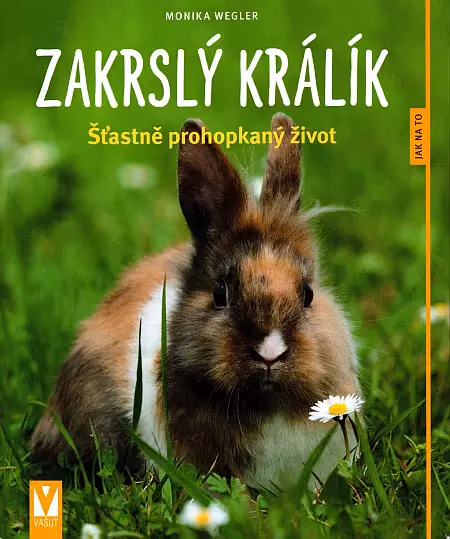 Zakrslý králík