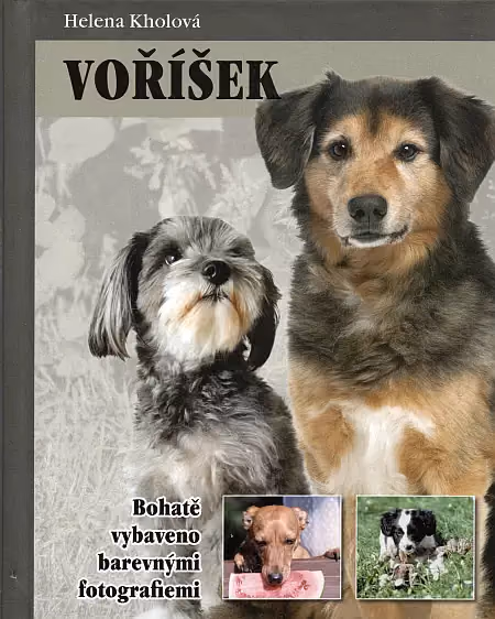 Voříšek
