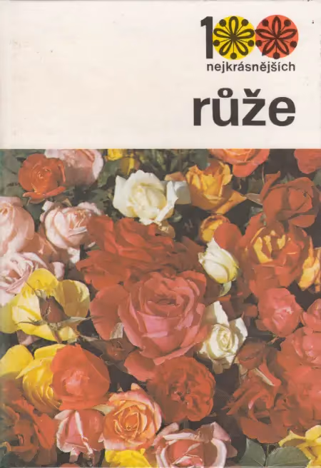 Růže