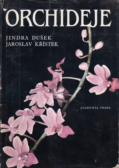 Orchideje