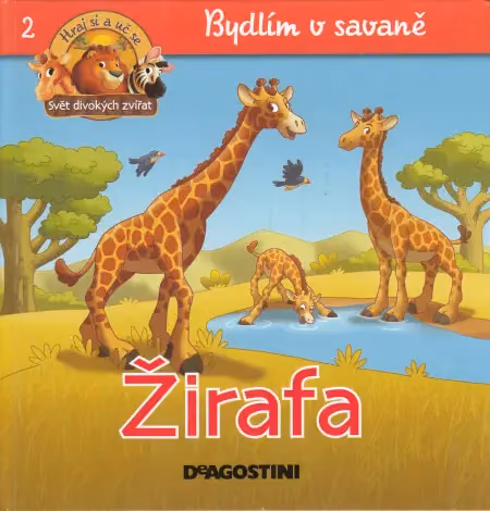 Bydlím v savaně: Žirafa