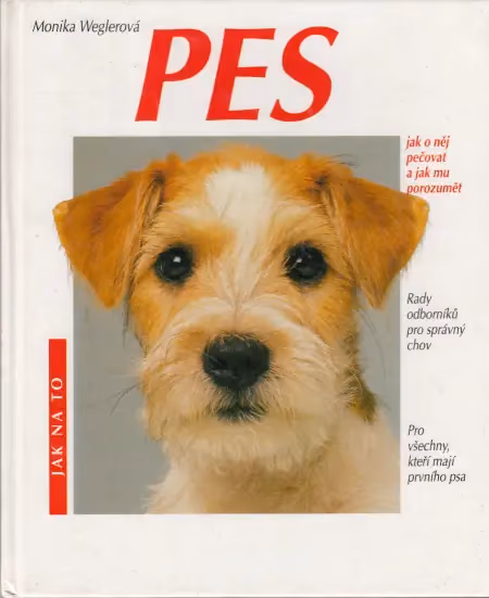 Pes - jak o něj pečovat a jak mu porozumět
