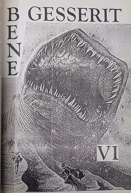 Bene Gesserit VI