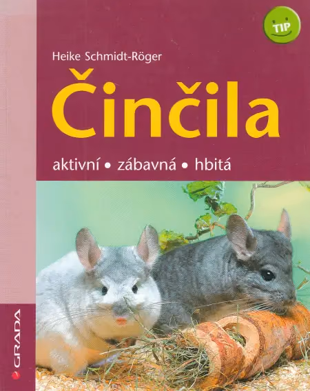 Činčila - aktivní, zábavná, hbitá