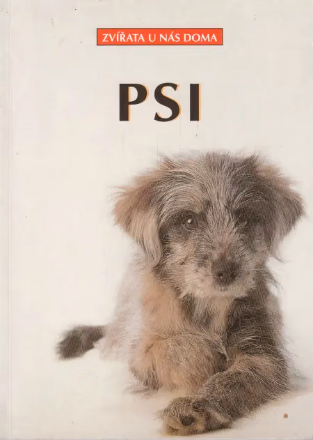 Psi