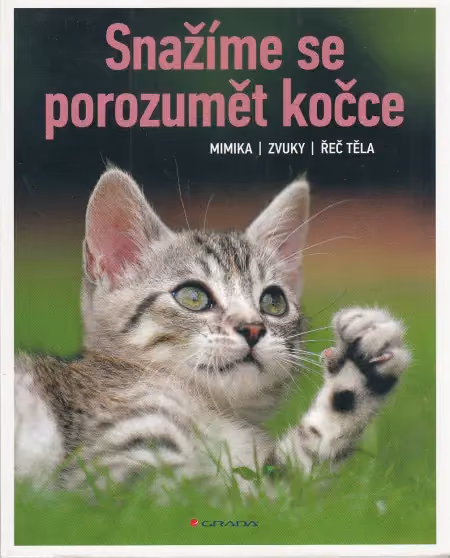 Snažíme se porozumět kočce