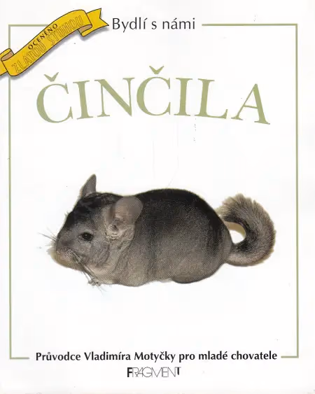 Činčila