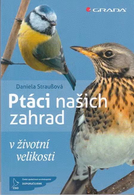Ptáci našich zahrad v životní velikosti