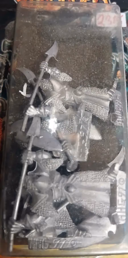 Chronopia 2315: Elf Spearmen